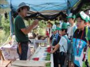 ���o�[�g���b�L���O