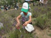 ���o�[�g���b�L���O