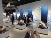 �L�����g�[