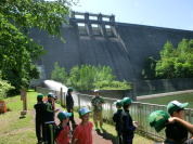 �V���c�Z��