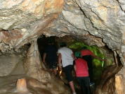 �����H�Ƒ�w