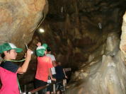 �����H�Ƒ�w