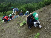 �V���c�Z��