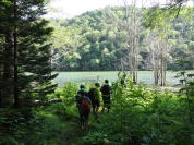 �L�����g�[