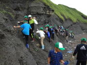 �����H�Ƒ�w