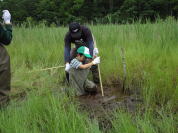 �����H�Ƒ�w