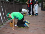 �L��R���䗅�Ό�