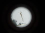 �L��R���䗅�Ό�