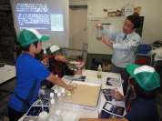 �����H�Ƒ�w