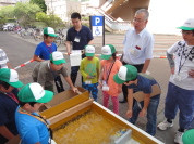 �����H�Ƒ�w