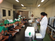 �����H�Ƒ�w