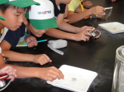 �����H�Ƒ�w