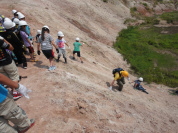 �L��R���R�Ό�