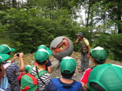 �����H�Ƒ�w