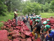 �����H�Ƒ�w