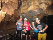 �����H�Ƒ�w