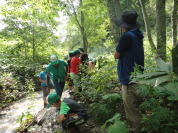 ����΃r�W�^�[�Z���^�[