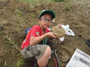 �V���c�Z��