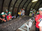 �����H�Ƒ�w