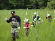 �����H�Ƒ�w