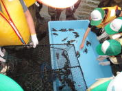 �L��R���R�Ό�