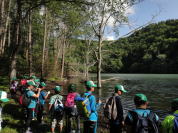 �L�����g�[