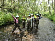 ���o�[�g���b�L���O