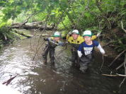 ���o�[�g���b�L���O