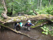 ���o�[�g���b�L���O