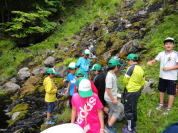 �I���l�g�[���̑�