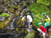 �I���l�g�[���̑�